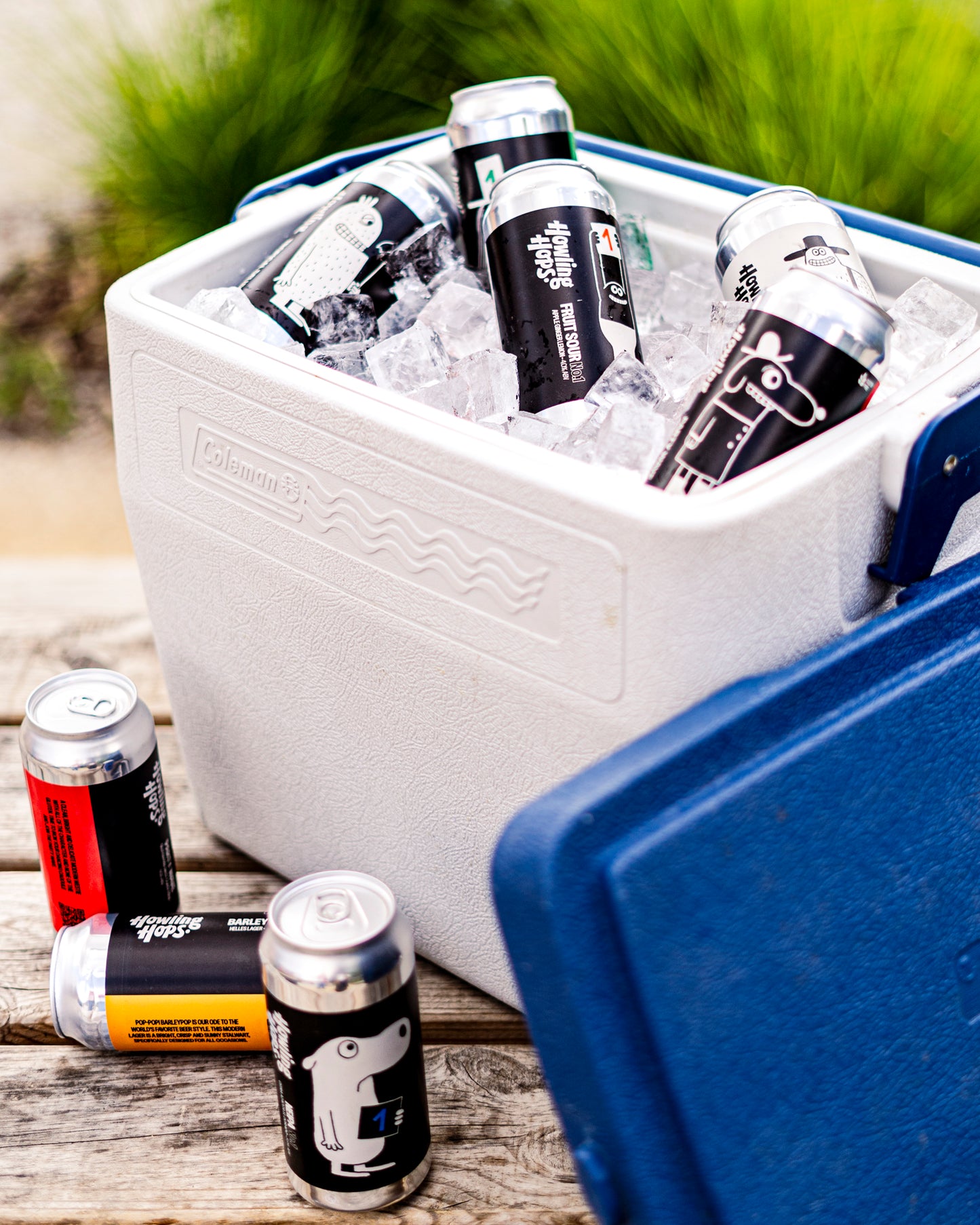 HOWLING HOPS SUBSCRIPTION BOX