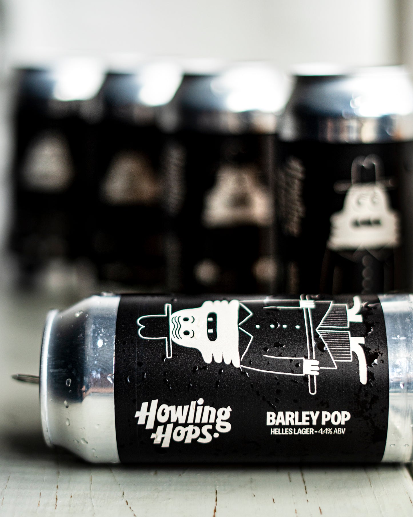 BARLEY POP