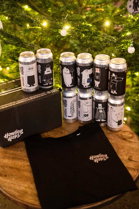 Mixed 10-Pack + Logo T-Shirt